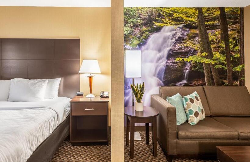 高级套房, Clarion Pointe Harrisonburg