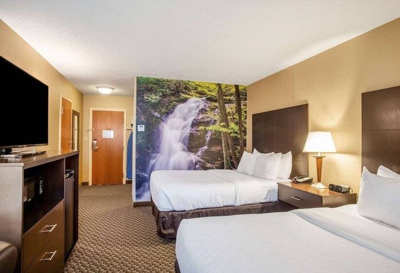 带2个双人床的标准工作室, Clarion Pointe Harrisonburg