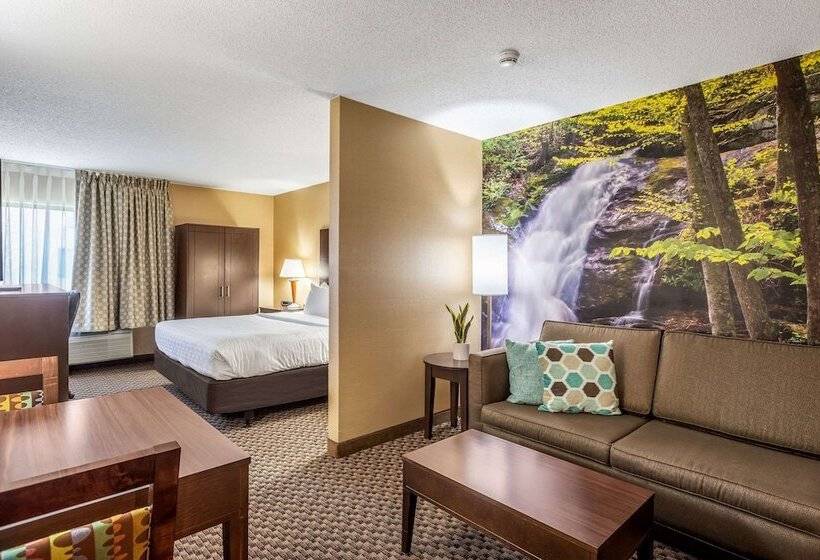 套房, Clarion Pointe Harrisonburg