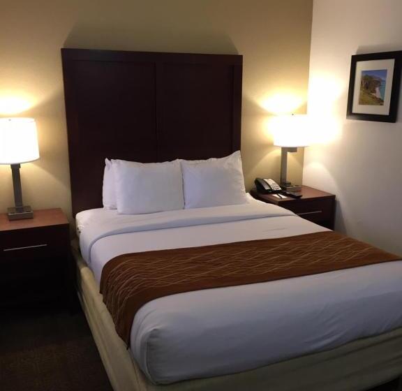 スタンダードルーム, Comfort Inn