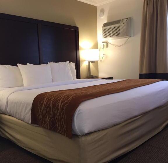キングサイズベッドのスイートルーム, Comfort Inn