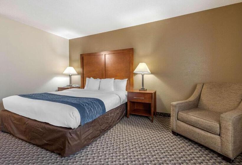 带大床的标准间, Comfort Inn South