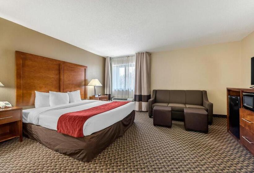Cameră Standard Pat King Size, Comfort Inn South