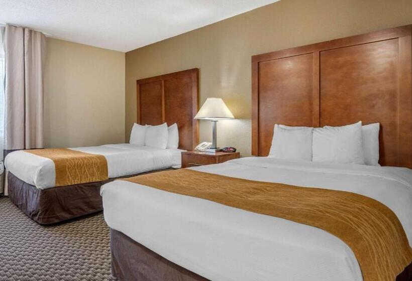 Cameră Standard, Comfort Inn South