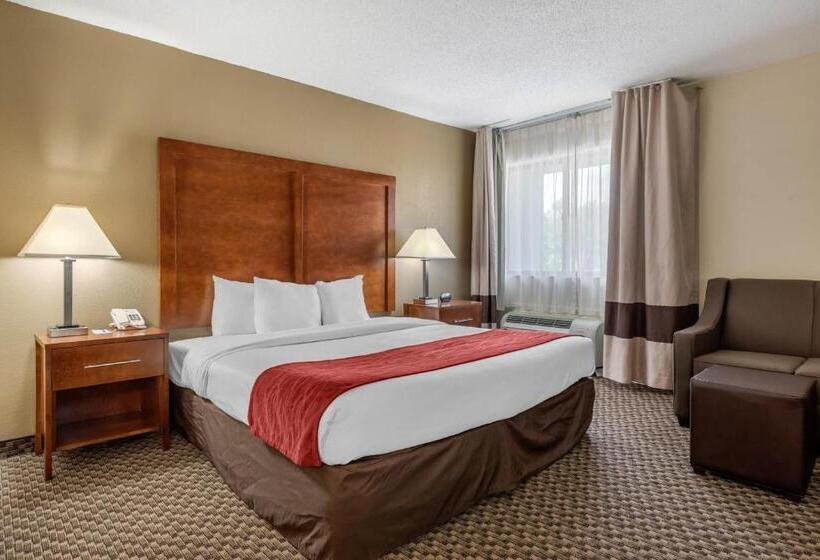 Suite Pat King, Comfort Inn South