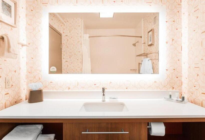 장애인을 위한 스탠다드 룸, Holiday Inn   Boone   University Area, An Ihg