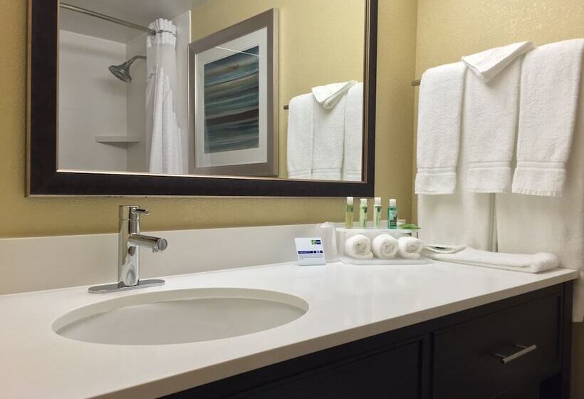 スタンダードルーム, Holiday Inn Express Chicago Nw   Arlington Heights, An Ihg