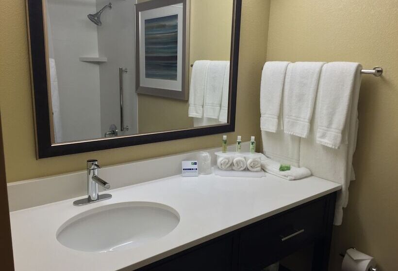 スイート, Holiday Inn Express Chicago Nw   Arlington Heights, An Ihg