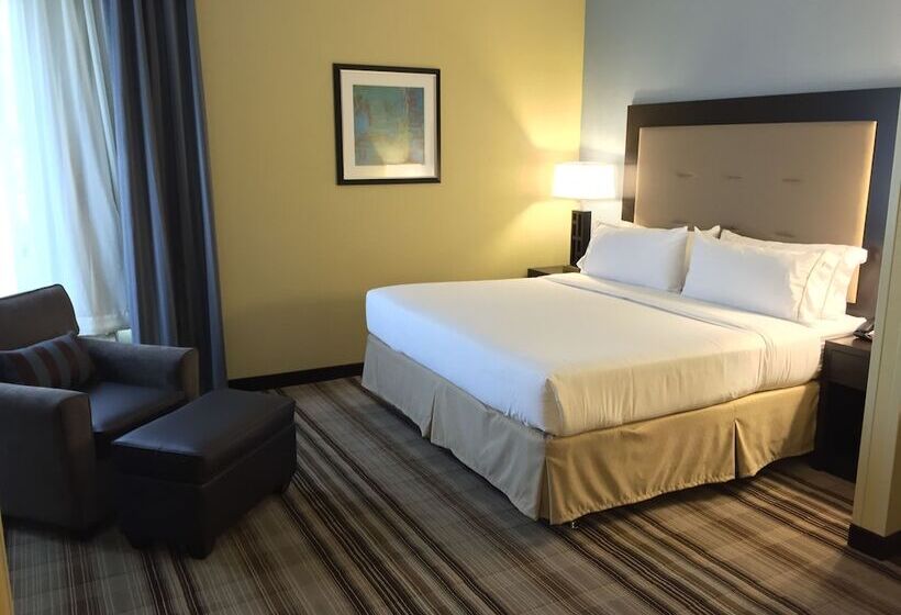 スイート, Holiday Inn Express Chicago Nw   Arlington Heights, An Ihg