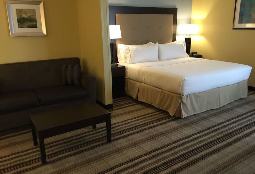 スイート, Holiday Inn Express Chicago Nw   Arlington Heights, An Ihg