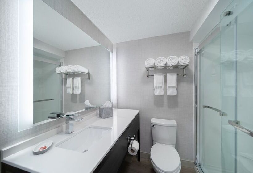 디럭스 룸, Holiday Inn Express South Burlington   Downtown, An Ihg