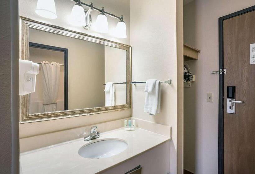 标准间, Quality Inn Cedar Rapids South