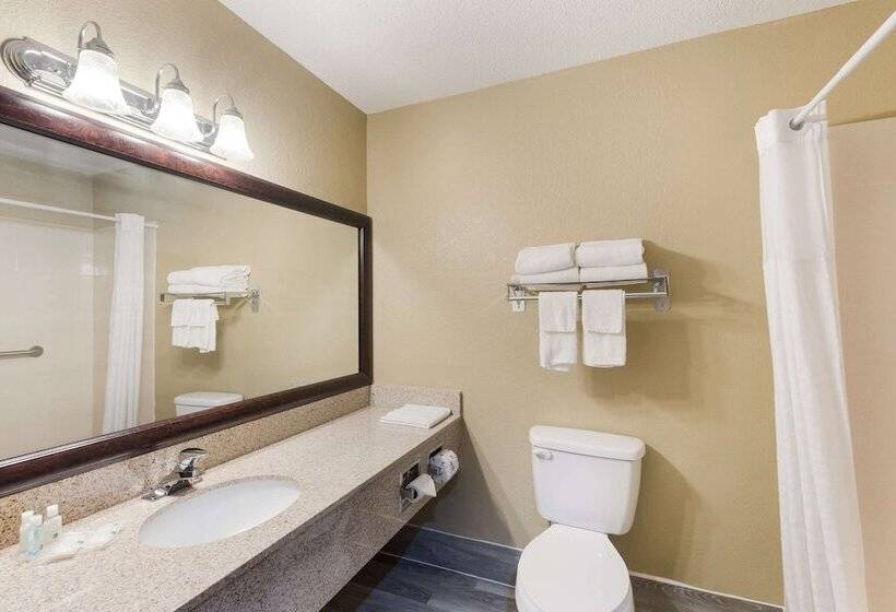 장애인을 위한 스탠다드 룸, Quality Inn