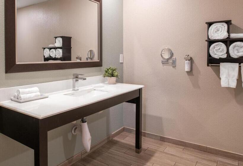 장애인을 위한 킹사이즈 침대 스탠다드 룸, Yosemite Westgate Lodge