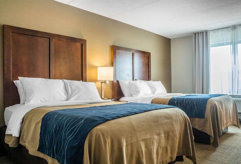 스탠다드 룸 더블 침대 2개, Comfort Inn The Pointe