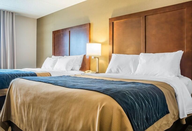 스탠다드 룸 더블 침대 2개, Comfort Inn The Pointe