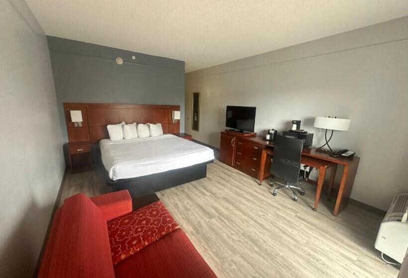 스탠다드 룸 킹사이즈 침대, Super 8 By Wyndham Dallas Love Field Airport