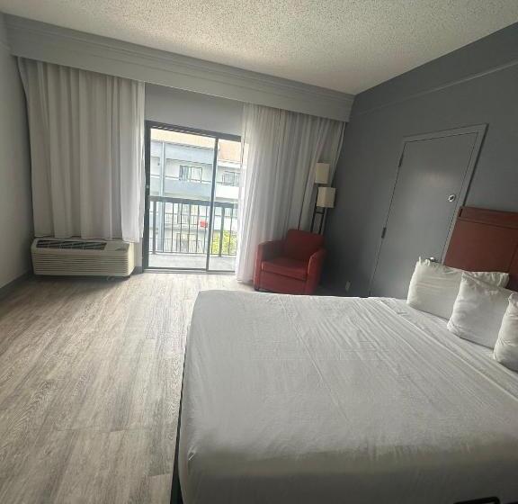 장애인을 위한 킹사이즈 침대 스탠다드 룸, Super 8 By Wyndham Dallas Love Field Airport
