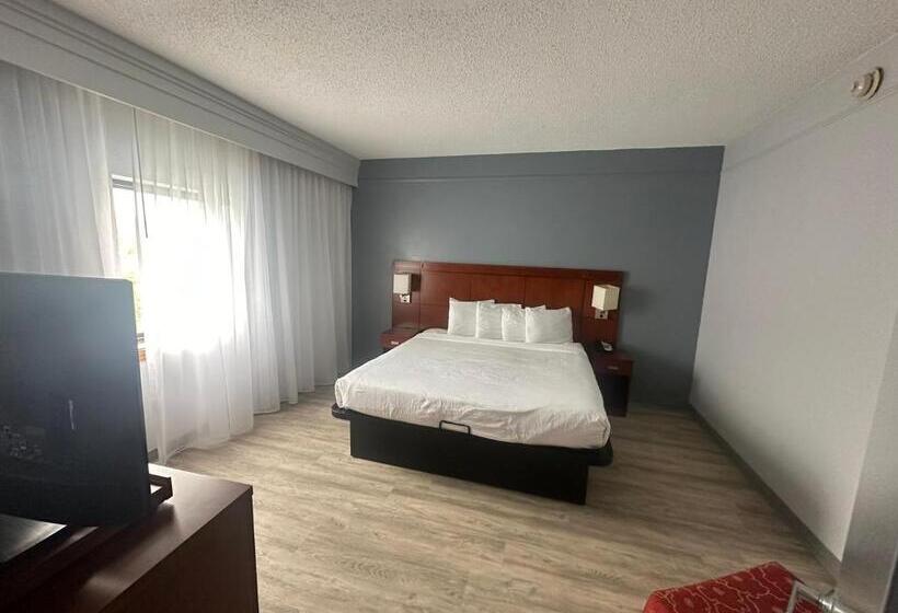 장애인을 위한 킹사이즈 침대 스탠다드 룸, Super 8 By Wyndham Dallas Love Field Airport