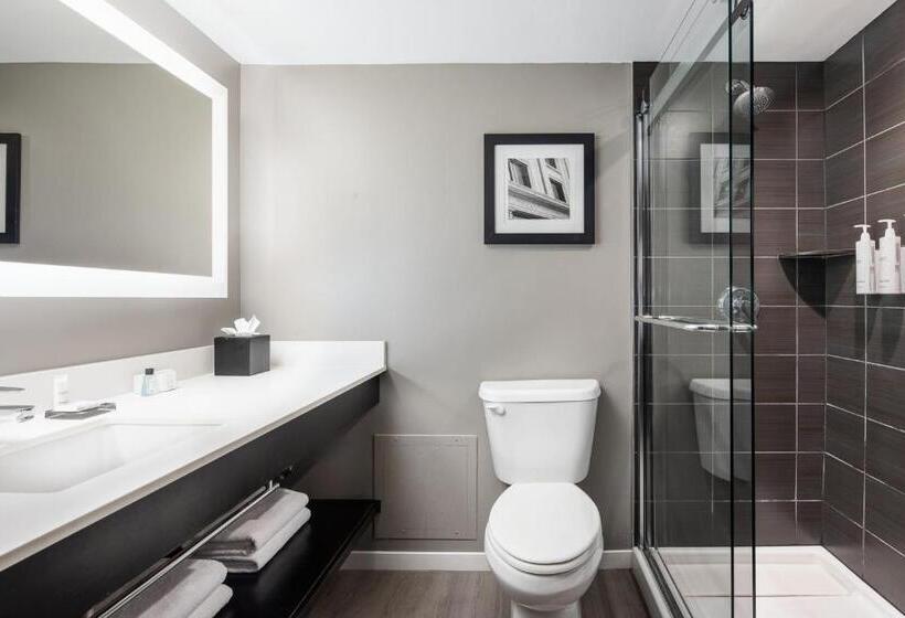 Habitació Estàndard Llit King Adaptada per a persones amb mobilitat reduïda, Dallas Addison Marriott Quorum By The Galleria