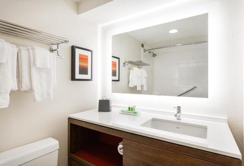 장애인을 위한 스탠다드 룸, Holiday Inn Timonium, An Ihg