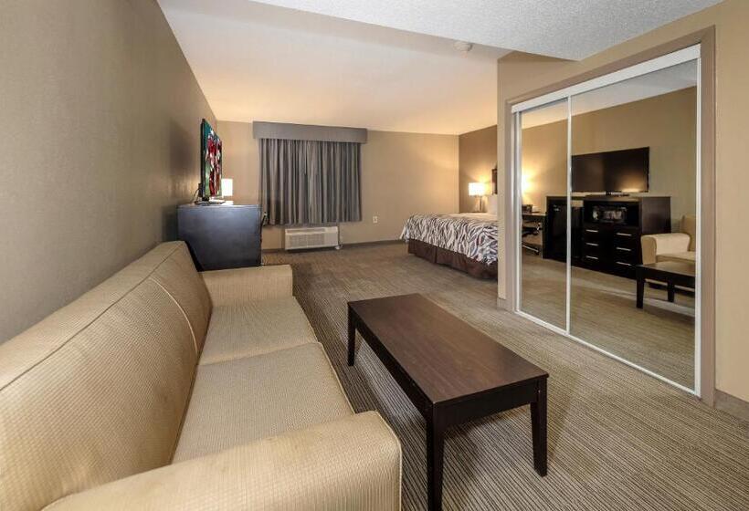Люкс Адаптированный для Инвалидов, Red Roof Inn & Suites Newburgh   Stewart Airport West Point