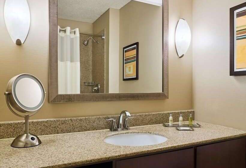 סוויטה, Doubletree By Hilton Houston Intercontinental Airport