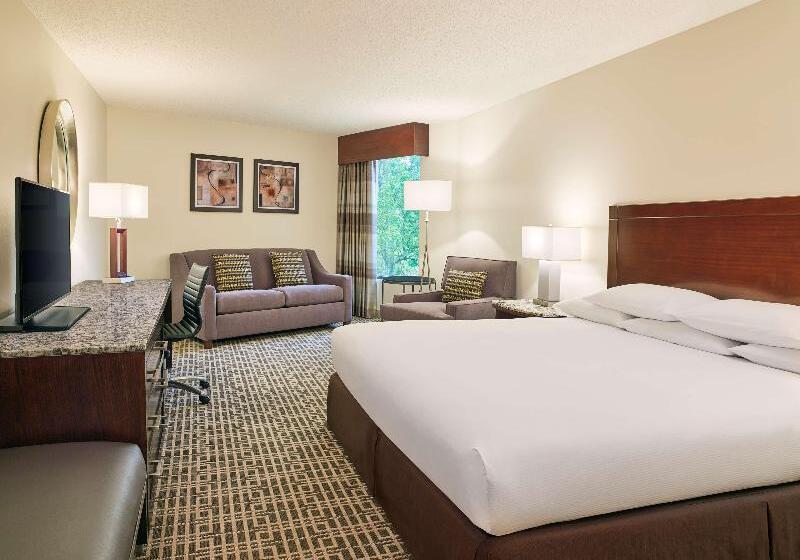חדר סטנדרט עם מיטת קינג, Doubletree By Hilton Houston Intercontinental Airport