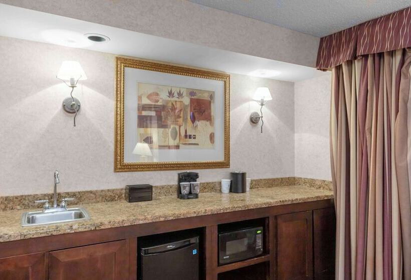 Люкс Адаптированный для Инвалидов, Embassy Suites By Hilton Kansas City Plaza