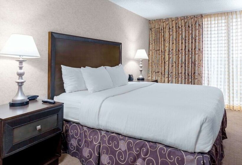 Family Suite, Embassy Suites By Hilton Kansas City Plaza