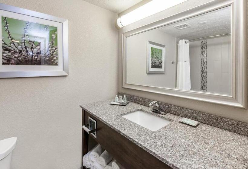 Номер Стандарт Кровать Кинг Адаптированный для Инвалидов, Holiday Inn Hotel & Suites Oklahoma City North, An Ihg