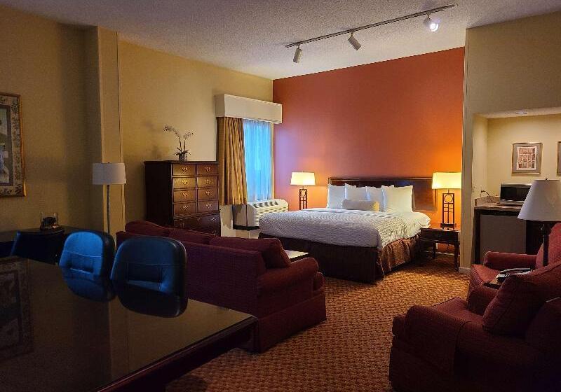 스탠다드 룸 킹사이즈 침대, Best Western Hickory