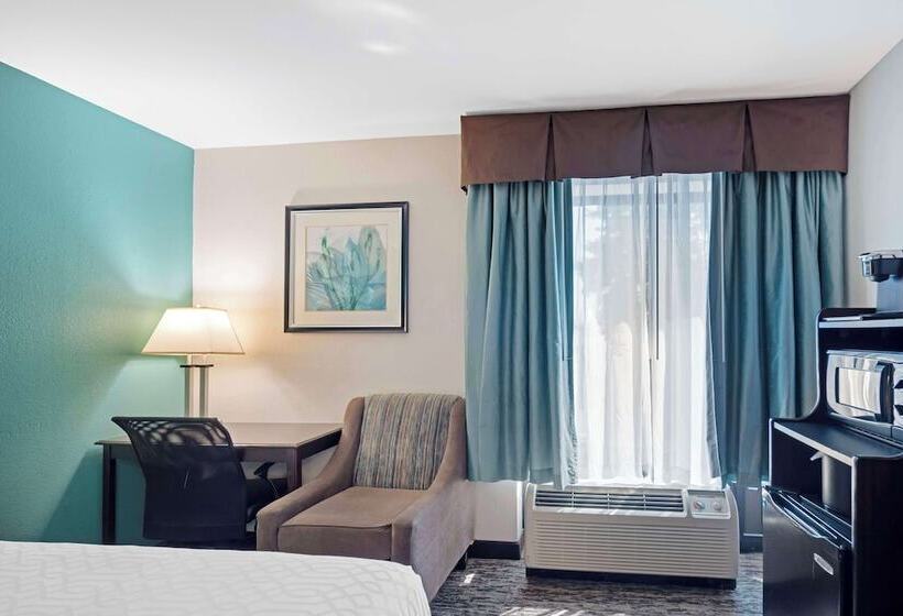 Quarto Standard 2 Camas Casal, Best Western Plus Chicagoland  Countryside