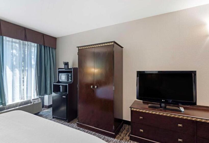Quarto Standard 2 Camas Casal, Best Western Plus Chicagoland  Countryside