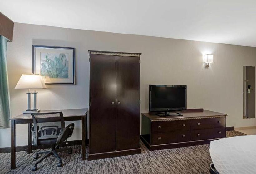 Quarto Standard Cama King para Deficientes, Best Western Plus Chicagoland  Countryside