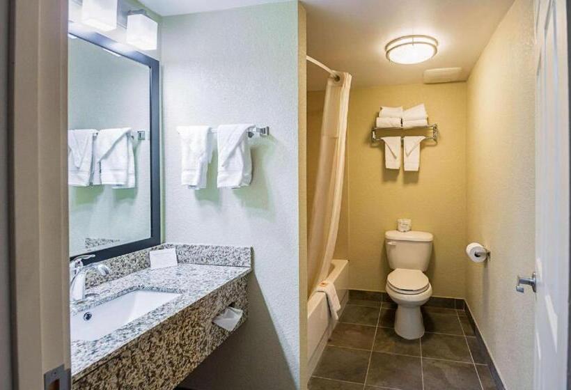 Номер Стандарт, Econo Lodge Hagerstown I 81