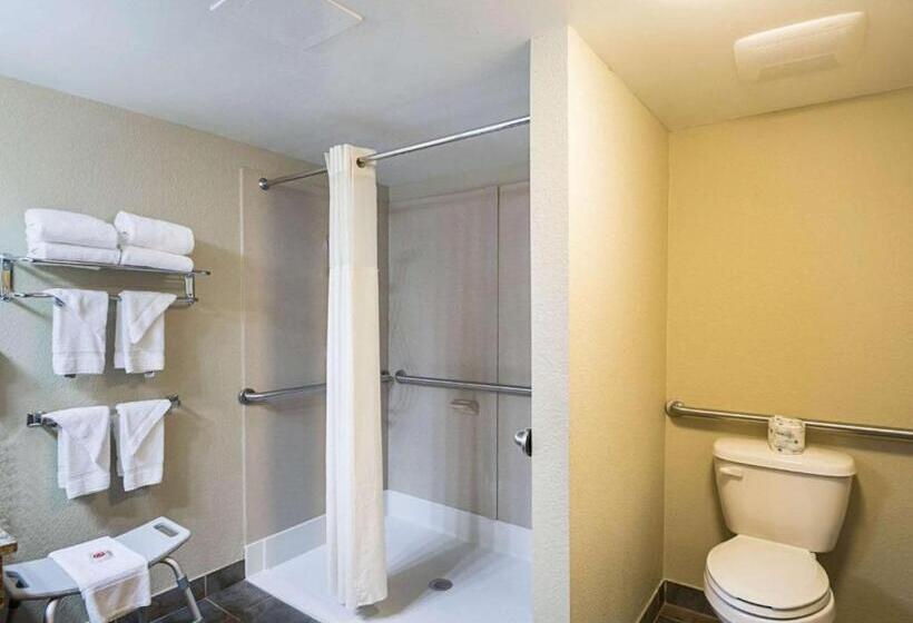 Номер Стандарт Адаптированный для Инвалидов, Econo Lodge Hagerstown I 81