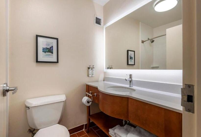اتاق استاندارد با تخت بزرگ, Holiday Inn Bangor, An Ihg