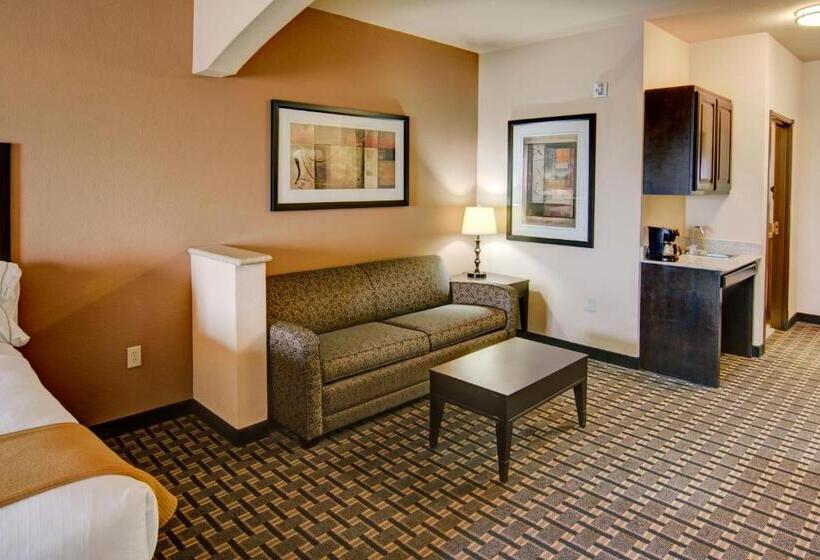 Люкс, Holiday Inn Express Hotel & Suites Paris, An Ihg