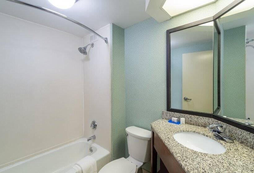 Номер Стандарт 2 Двуспальные Кровати, Holiday Inn Express Forsyth, An Ihg