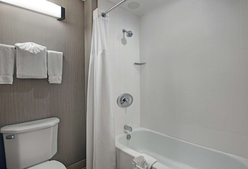 套房, Homewood Suites By Hilton Chicago Lincolnshire