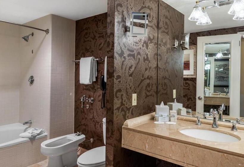 Habitació Premium Vista Ciutat, Omni Houston