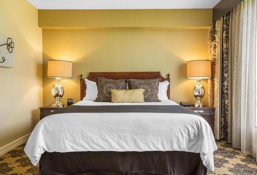 Habitació Deluxe Llit King, Omni Houston