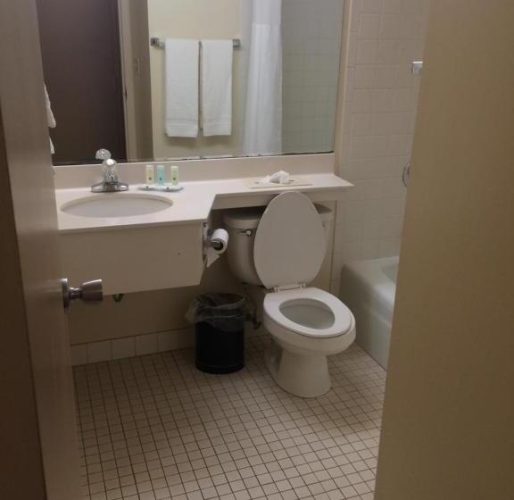 Стандартный Номер Кровать Кинг, Quality Inn