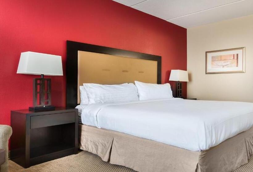 Стандартный Номер Кровать Кинг, Holiday Inn Resort Galveston   On The Beach, An Ihg