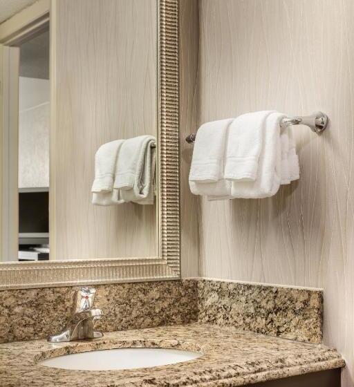 Номер Deluxe, Holiday Inn Resort Galveston   On The Beach, An Ihg