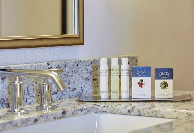 스탠다드 룸 더블 침대 2개, Doubletree By Hilton Washington Dc   Crystal City