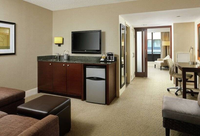 스탠다드 룸 킹사이즈 침대, Doubletree By Hilton Washington Dc   Crystal City