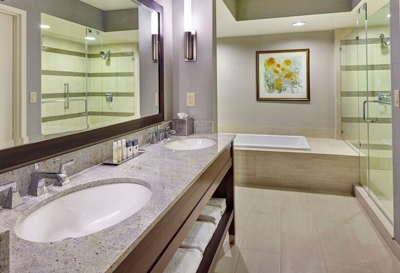 스탠다드 룸 킹사이즈 침대, Doubletree By Hilton Washington Dc   Crystal City