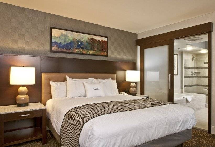 스탠다드 룸 킹사이즈 침대, Doubletree By Hilton Washington Dc   Crystal City